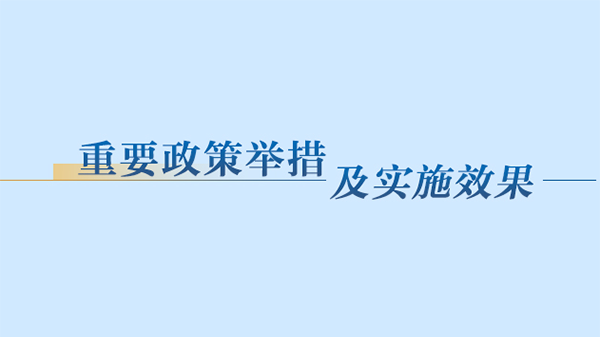 重要政策举措及实施效果