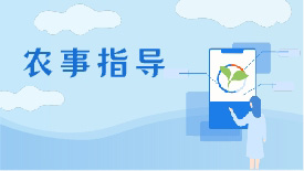 农事指导