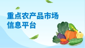 重点农产品市场信息平台