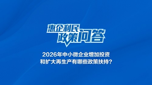 2026年，中小微企业增加投资和扩大再生产，有哪些政策扶持？