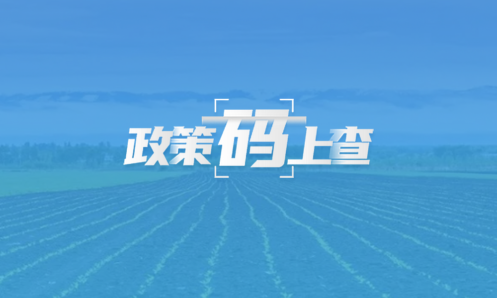 政策码上查