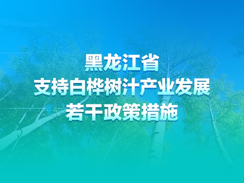 【图解】一图读懂《黑龙江省支持白桦树汁产业发展若干政策措施》